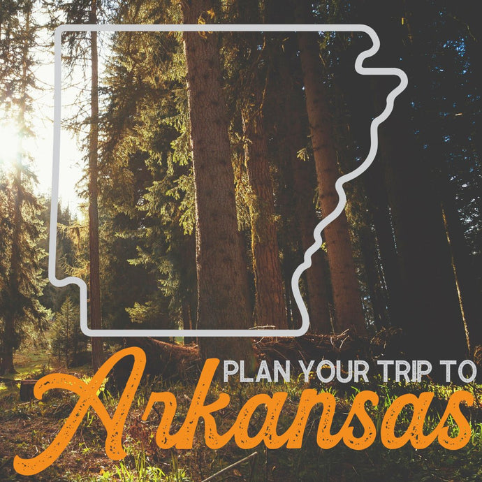 Plan Your Arkansas Hunting Adventure: From Permits to Prime Locations