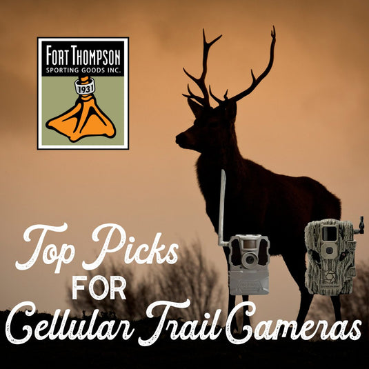 See the Unseen: Top Picks for Cellular Trail Cameras - Fort Thompson
