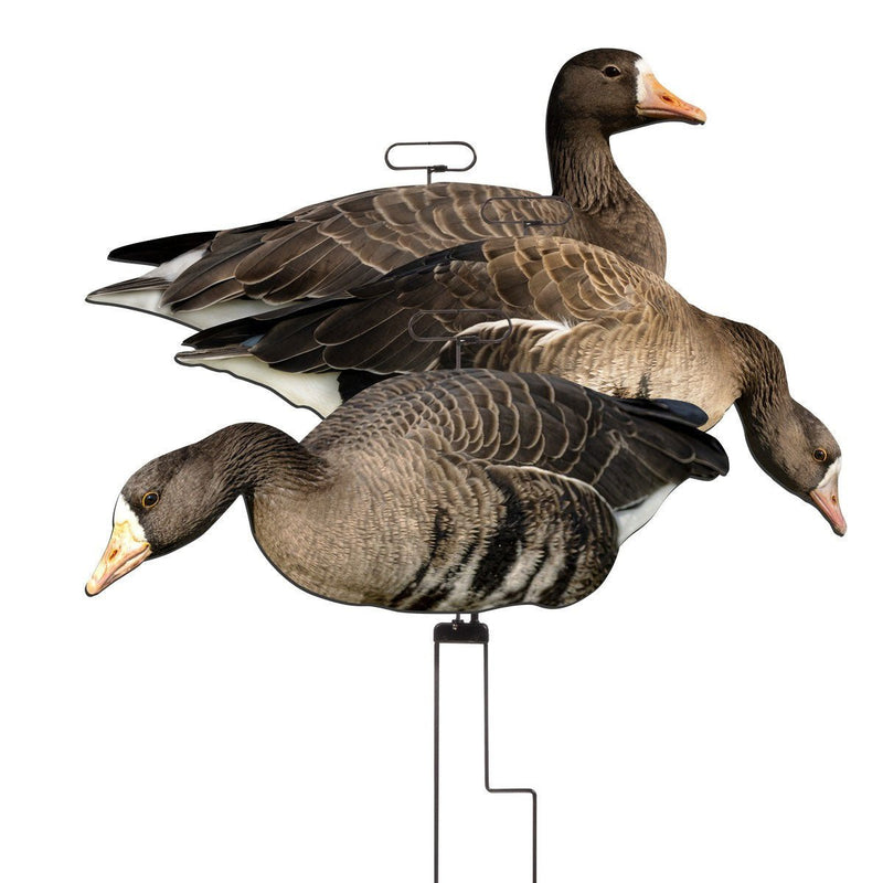 Load image into Gallery viewer, Higdon FLATS Specklebelly Goose Motion Silhouette Decoys 12 Pack Goose Decoys- Fort Thompson
