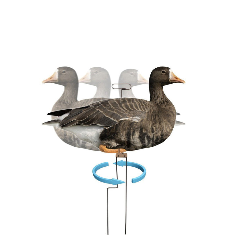 Load image into Gallery viewer, Higdon FLATS Specklebelly Goose Motion Silhouette Decoys 12 Pack Goose Decoys- Fort Thompson
