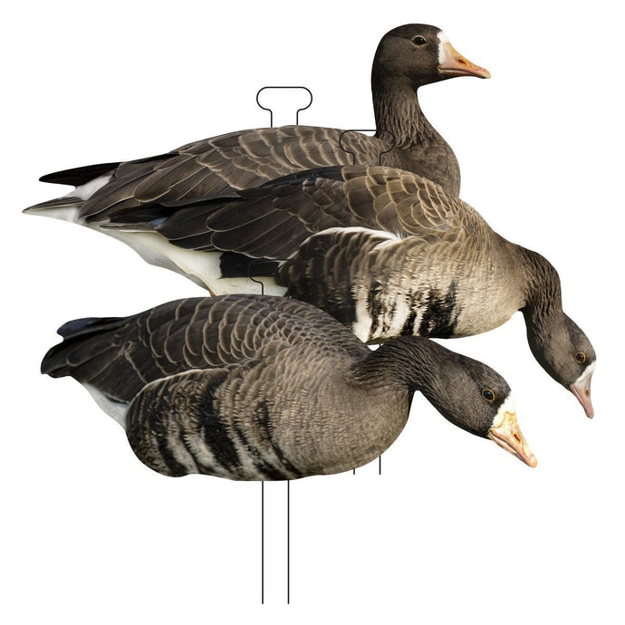 Higdon FLATS Specklebelly Goose Standard Silhouette Decoys 12 Pack Goose Decoys- Fort Thompson