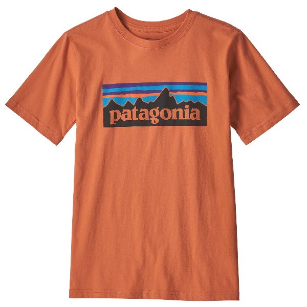 Boys patagonia shirt on sale