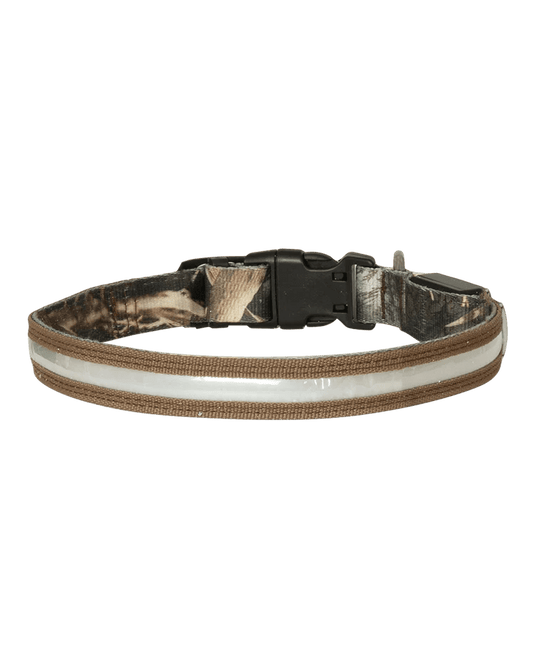 Avery Lighted Dog Collar Dog Gear- Fort Thompson