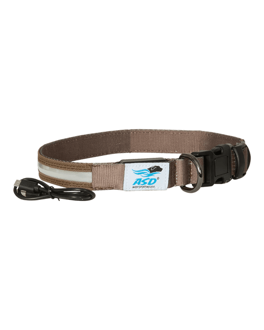 Avery Lighted Dog Collar Dog Gear- Fort Thompson