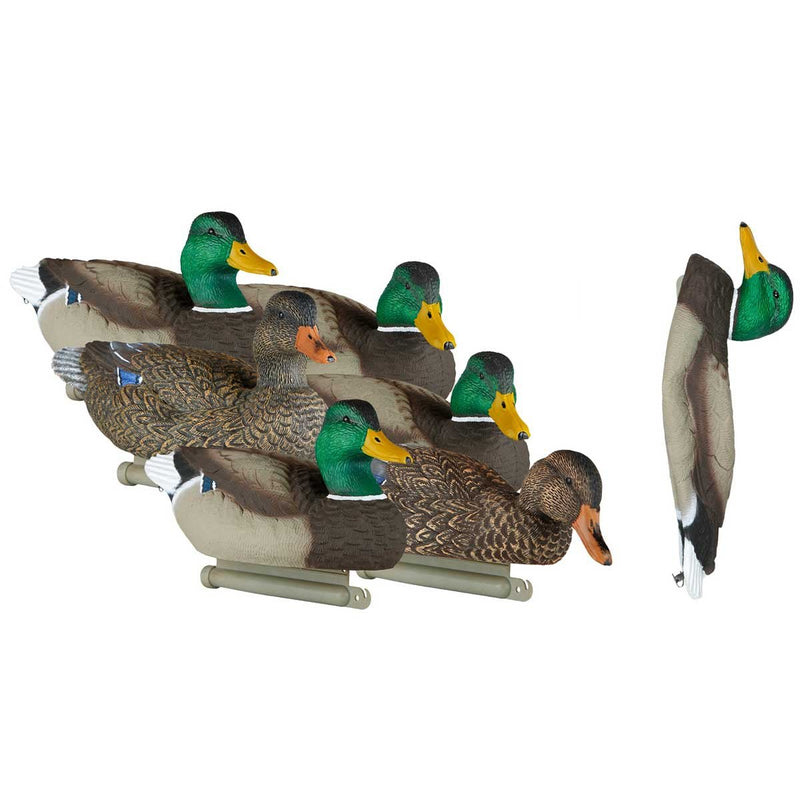 Load image into Gallery viewer, Lucky Duck Deception Series 6-Pack Mallard Decoys Duck Decoys- Fort Thompson
