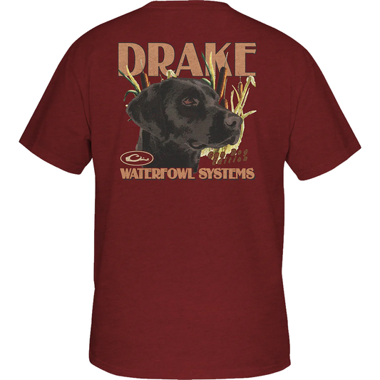 Drake Youth Marsh Lab T-Shirt