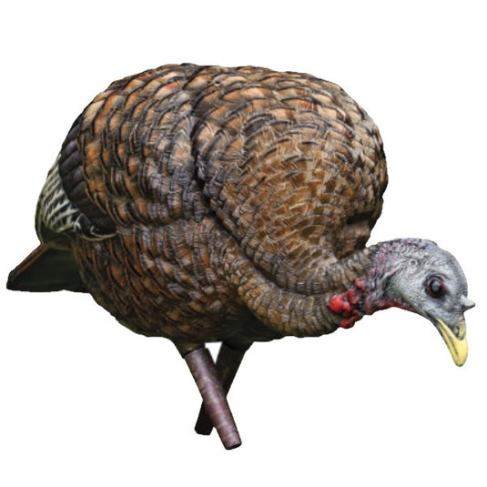 Avian X LCD Feeder Hen Turkey Decoy Turkey Decoys- Fort Thompson