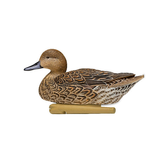 Avian X Topflight Pintail Duck Decoy 6 Pack Duck Decoys- Fort Thompson