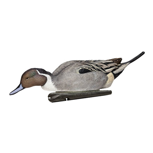 Avian X Topflight Pintail Duck Decoy 6 Pack Duck Decoys- Fort Thompson