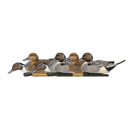 Avian X Topflight Pintail Duck Decoy 6 Pack Duck Decoys- Fort Thompson