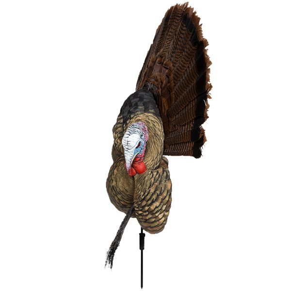 Load image into Gallery viewer, Avian X Trophy Tom Turkey Decoy Turkey Decoys- Fort Thompson
