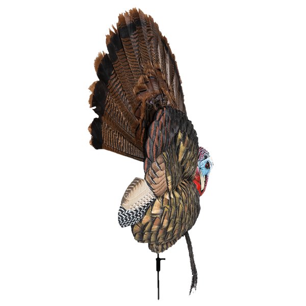 Load image into Gallery viewer, Avian X Trophy Tom Turkey Decoy Turkey Decoys- Fort Thompson
