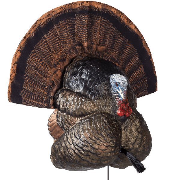Load image into Gallery viewer, Flextone Thunder Creeper Turkey Decoy Turkey Decoys- Fort Thompson
