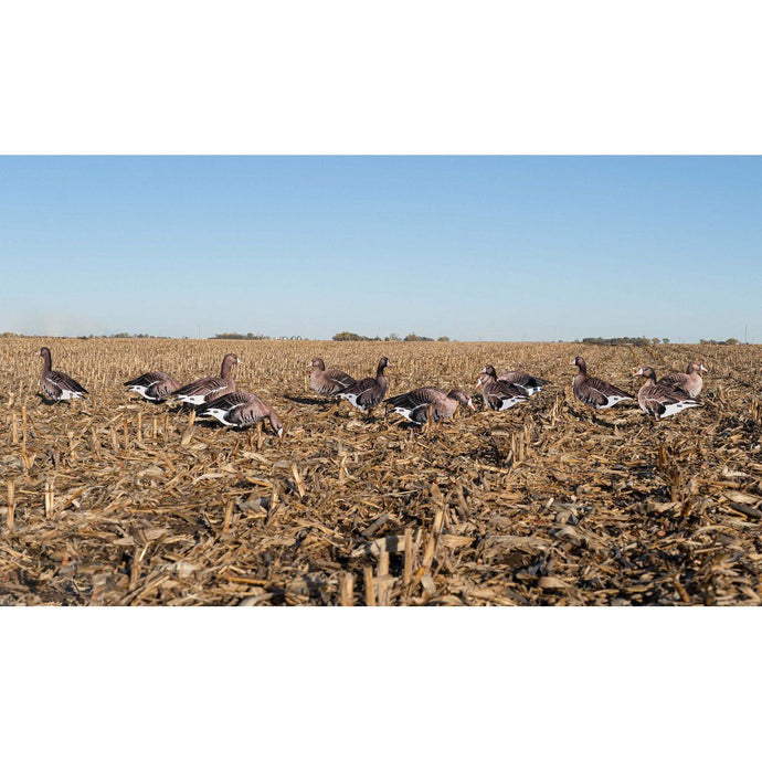 Greenhead Gear Pro Grade Specklebelly Goose Silo Decoys 12 Pack Goose Decoys- Fort Thompson