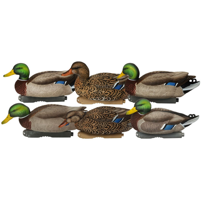 Greenhead Gear Pro-Grade XD Series Mallards - Harvester Duck Decoy 6-Pack including Active Drake, Rester Drake, Swimmer Drake, Surface Feeder Drake, Surface Feeder Hen, Active Hen.