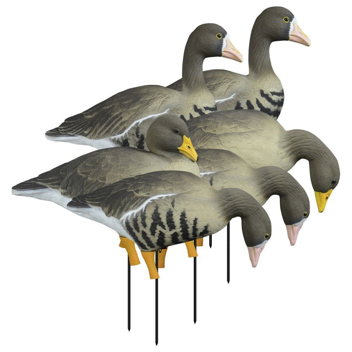 Higdon APEX Full Size Full Body Specklebelly Goose Decoys Variety 6 Pack Goose Decoys- Fort Thompson