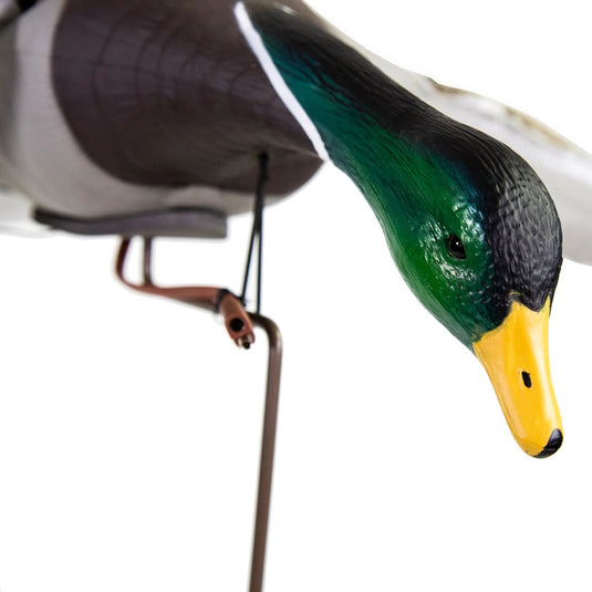 Up close shot of the Higdon Clone Mallard Drake Duck Decoy's head.