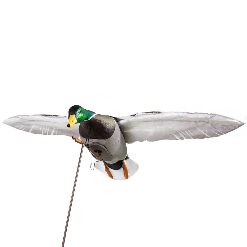 Load image into Gallery viewer, Higdon Clone Mallard Drake Duck Decoy Duck Decoys- Fort Thompson
