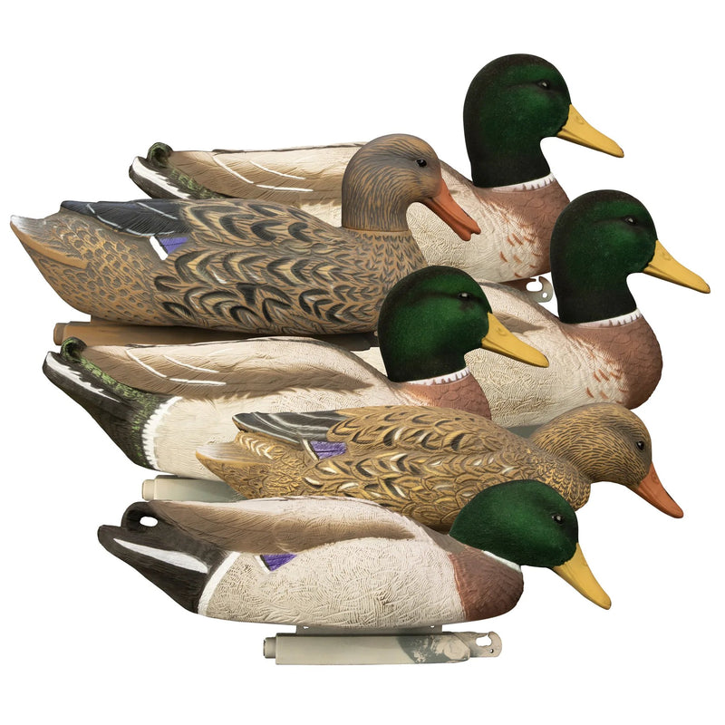Load image into Gallery viewer, Higdon Magnum Mallard Duck Decoy 6-Pack Duck Decoys- Fort Thompson
