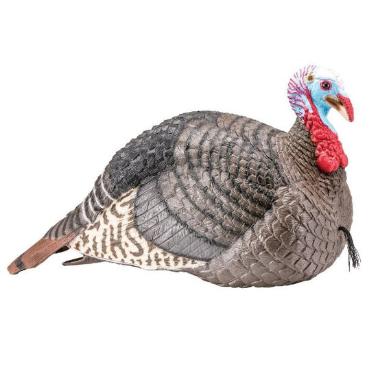 Hunter's Specialties Semi-Aggressive Jake Turkey Decoy Turkey Decoys- Fort Thompson
