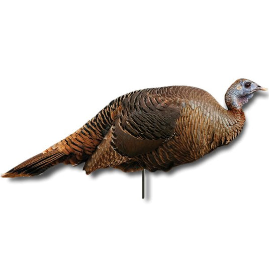Montana Decoy CO Spring Fling Hen Turkey Decoy Turkey Decoys- Fort Thompson