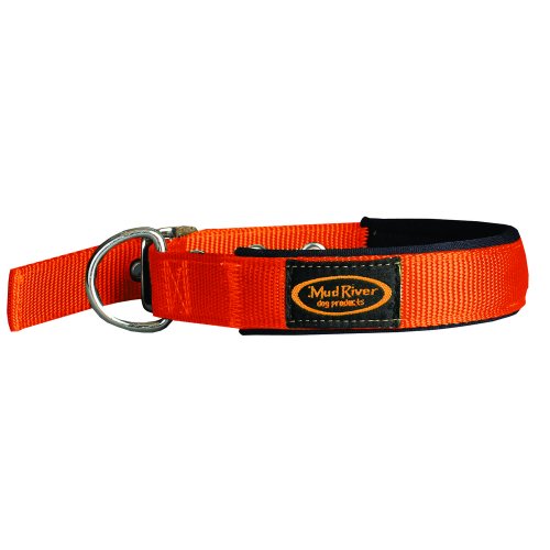 Mud River Swagger Dog Collar Dog Gear- Fort Thompson