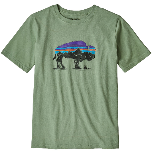 Patagonia Boys Graphic Organic Tee