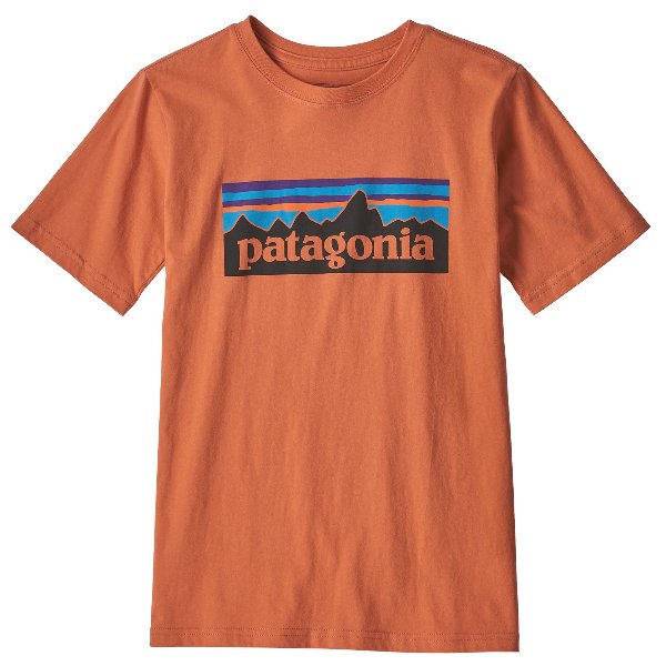 Load image into Gallery viewer, Patagonia Boys&#39; Organic P-6 Logo T-Shirt Youth T-Shirts- Fort Thompson
